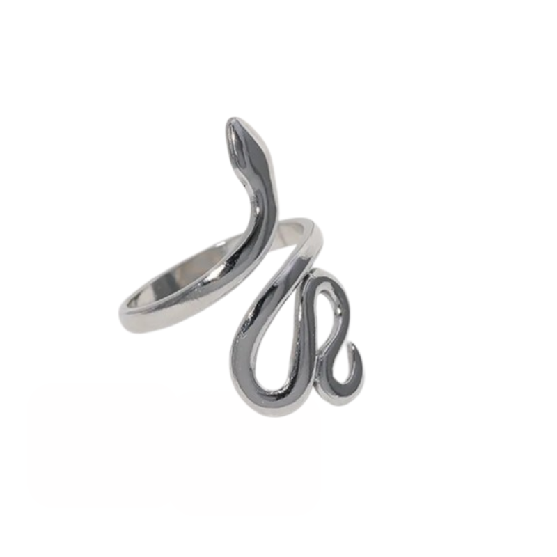 Esprit Argentin - La Bague du Serpent Mystique